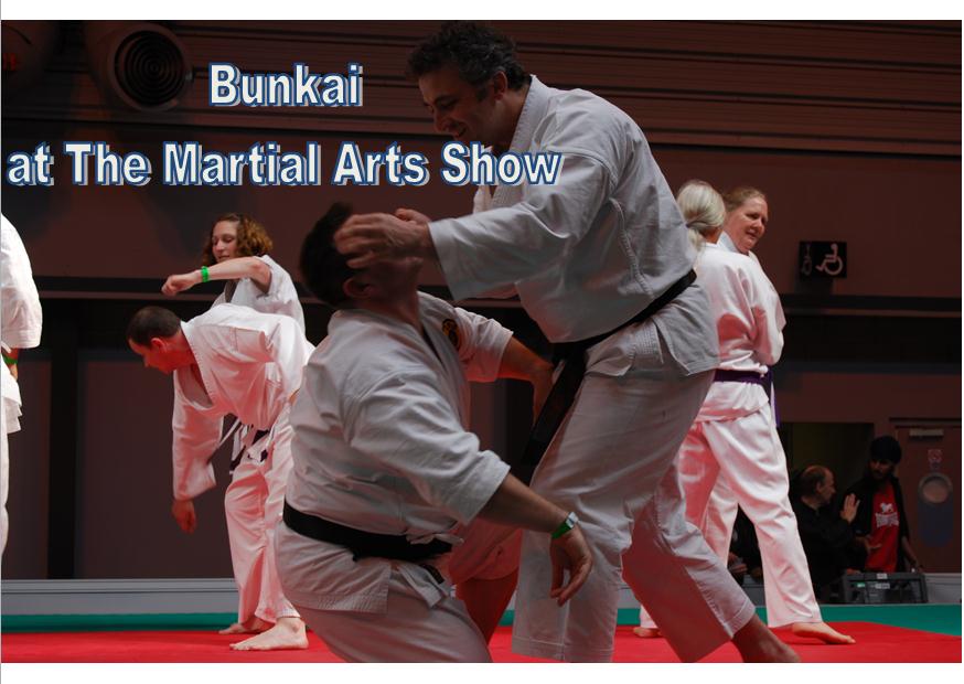 practical karate kata bunkai